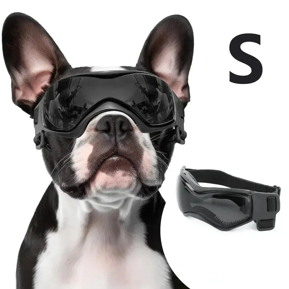 SquintProof SquintProof Pet Goggles — UV Protection Dog Sunglasses - | UV400 Sunglasses